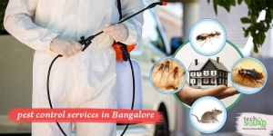 Certified Pest Control Services in Bangalore with TechSquad